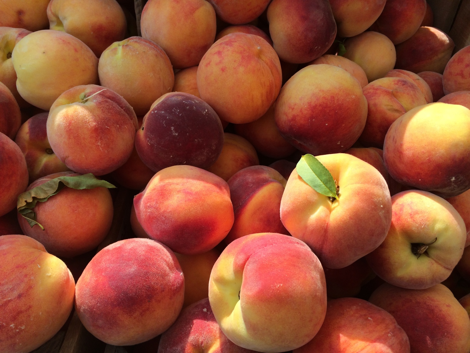 Peaches farmers market